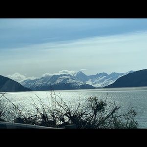 Meet your Posher, Precious